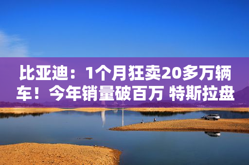 比亚迪：1个月狂卖20多万辆车！今年销量破百万 特斯拉盘前暴跌超4%！