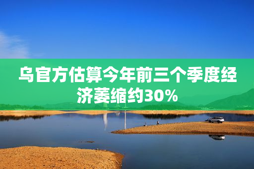 乌官方估算今年前三个季度经济萎缩约30%