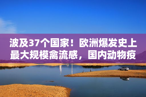 波及37个国家！欧洲爆发史上最大规模禽流感，国内动物疫苗板块集体拉升