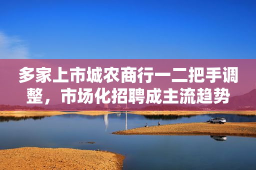 多家上市城农商行一二把手调整，市场化招聘成主流趋势