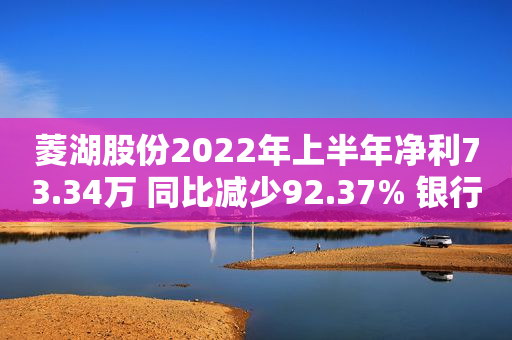 菱湖股份2022年上半年净利73.34万 同比减少92.37% 银行贷款利息支出增加