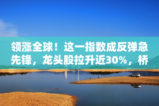 领涨全球！这一指数成反弹急先锋，龙头股拉升近30%，桥水、景林继续加码