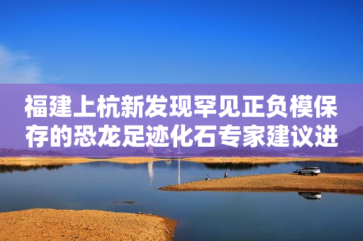 福建上杭新发现罕见正负模保存的恐龙足迹化石专家建议进行原地保护