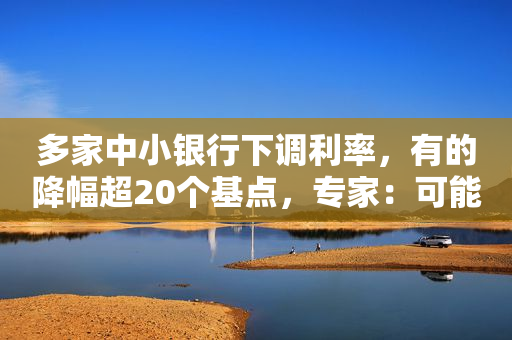 多家中小银行下调利率，有的降幅超20个基点，专家：可能导致“存款搬家”