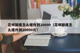 花呗额度怎么提升到20000（花呗额度怎么提升到20000元）