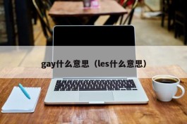 gay什么意思（les什么意思）