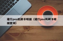 建行pos机刷卡明细（建行pos机刷卡明细查询）