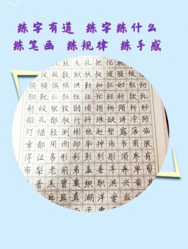 快速练字方法(快速练字要领)