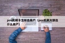 pos机刷卡怎样选商户（pos机刷大额选什么商户）