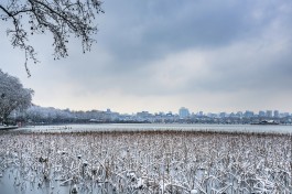 适合冬季旅游的国内景点有哪些(冬季适合去哪旅游国内)