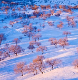 冬季看雪旅游景点排行(冬季去看雪)