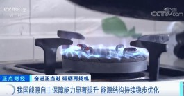 我国能源自主保障能力显著提升能源结构持续稳步优化