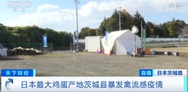 这个国家，一周暴发5起禽流感疫情！最大鸡蛋产地养鸡场中招！扑杀超100万只蛋鸡...