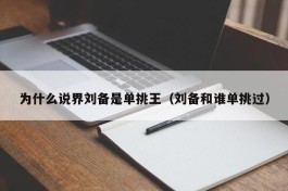 为什么说界刘备是单挑王（刘备和谁单挑过）