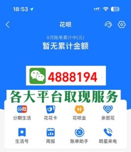 现在白条怎么取款(白条怎么取款到银行卡)