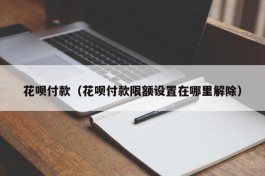 花呗付款（花呗付款限额设置在哪里解除）