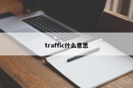 traffic什么意思