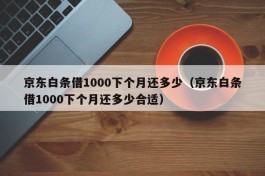 京东白条借1000下个月还多少（京东白条借1000下个月还多少合适）