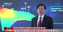 全国首次！这一领域，获重大突破→