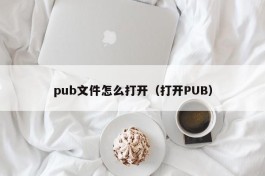 pub文件怎么打开（打开PUB）