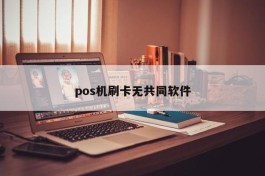 pos机刷卡无共同软件