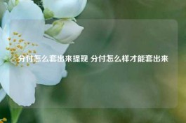 怎么把分付的钱提出来使用,5个实用方法