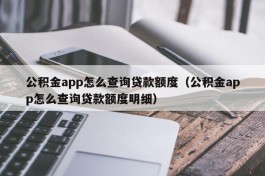公积金app怎么查询贷款额度（公积金app怎么查询贷款额度明细）