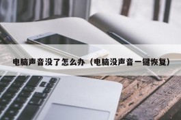 电脑声音没了怎么办（电脑没声音一键恢复）