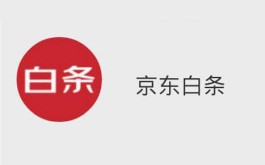 如何快速掌握京东白条付费额度提现技巧，掌握这5个操作方法