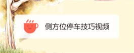 路边停车技巧视频(路边停车教程视频)