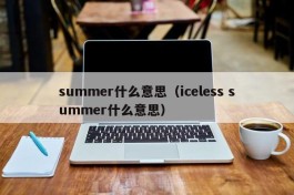 summer什么意思（iceless summer什么意思）