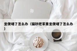 坐便堵了怎么办（猫砂把家里坐便堵了怎么办）