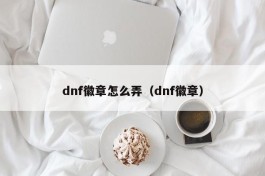 dnf徽章怎么弄（dnf徽章）