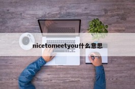 nicetomeetyou什么意思