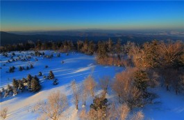 冬季旅游适合去哪里旅游(冬季旅行去哪好)