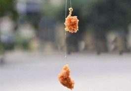 拉饵技巧(拉饵教程)