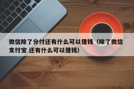 微信除了分付还有什么可以借钱（除了微信 支付宝 还有什么可以借钱）