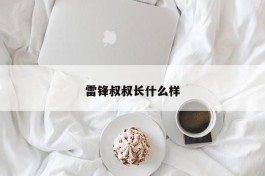 雷锋叔叔长什么样