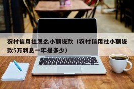农村信用社怎么小额贷款（农村信用社小额贷款5万利息一年是多少）