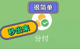 分付怎么套出来?(具体操作程序)_