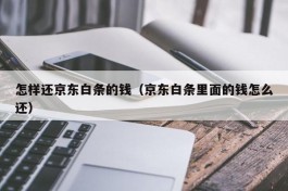 怎样还京东白条的钱（京东白条里面的钱怎么还）