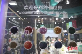 第五届进博会首设农作物种业专区