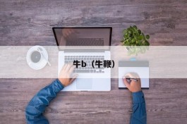 牛b（牛鞭）