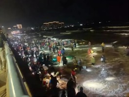 海肠、泸沽虾等出现在烟台海滩，专家揭秘“海鲜集体上岸”原因
