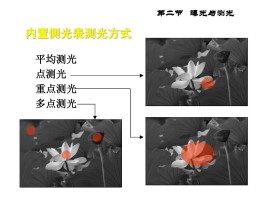 测光技巧(测光方式是什么)