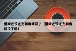 借呗还没还完额度就没了（借呗还没还完额度就没了吗）
