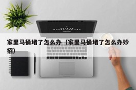 家里马桶堵了怎么办（家里马桶堵了怎么办妙招）