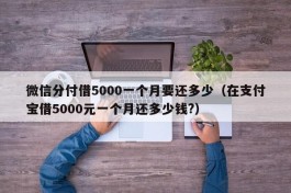 微信分付借5000一个月要还多少（在支付宝借5000元一个月还多少钱?）