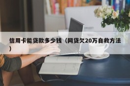 信用卡能贷款多少钱（网贷欠20万自救方法）