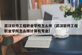 武汉软件工程职业学院怎么样（武汉软件工程职业学院怎么样计算机专业）